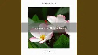 Experience Hard Sleep with Unique Nature Sounds for Calm down