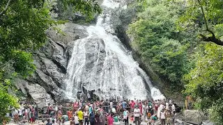 Monkey Falls - Kaviyaruvi #pollachi monkey falls #touristplace #falls #trending #viralvideo