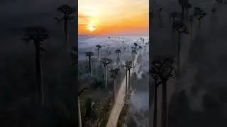 Madagascar, East Africa 🌍