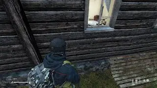 Random killing spree DayZ