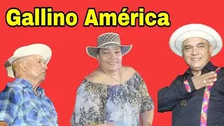 Gallino américa. Merejo Aparicio, Yazmin Muñoz y Aníbal Delgado 