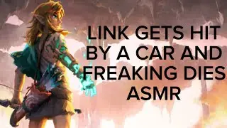 Link Gets Hit by a Car and Freaking Dies ASMR
