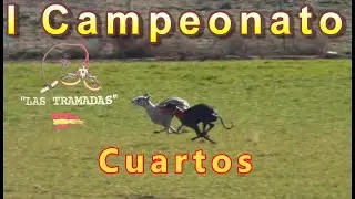 I Campeonato Las Tramadas, Cuartos 🐇🐕