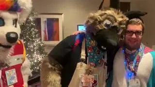 MFF2019