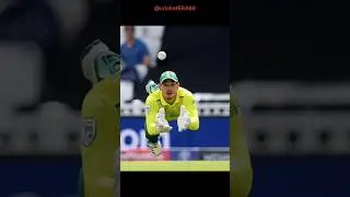 Best fielding #cricket #cricketlover #cricketfans #bestfielding #bestfielder #supercatch #shorts
