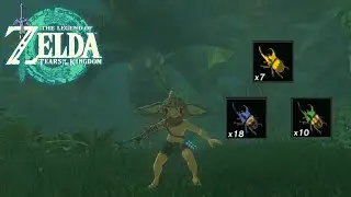 Rhino Beetle Early Farming Locations | The Legend of Zelda: Tears of the Kingdom