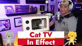 Purr-View Retro TV Cat Condo Unboxing & Review