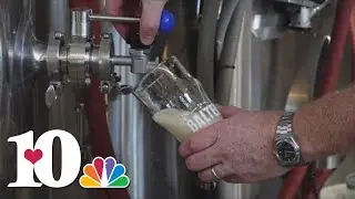 Knoxville breweries bring home big wins