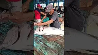 Uncle Bahar skillfully cuts the large tuna #fish #fishpreparation #food #seafood #fyp