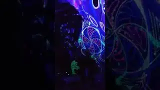 TwistedPerception NYE FORESTDELIC Party