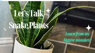 Everything I&rsquo;ve learned after doing it all wrong! 🌱