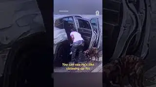 Thankfully, the right person drove by at the right time 👏