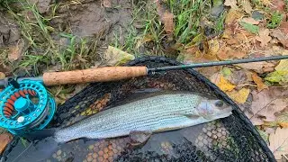 River ribble grayling fishing