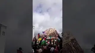 Palestinian solidarity by Kiwi Muslims