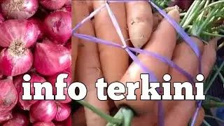 Info harga bawang merah dan sayur ,pasar agropolitan aie luluak, sungai nanam, kab.solok