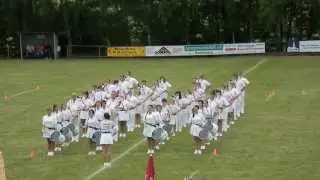 1 Triebeser Fanfarenzug Pflicht 2014