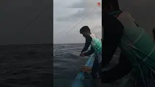 Catching King Fish Using Fishing Lure as Bait #fishing #fishingvideo #fishingtime