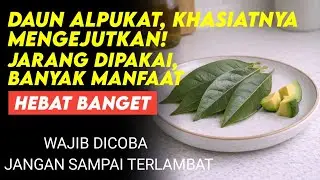 Daun Alpukat yang Jarang Dipakai ! Ternyata Punya 22 Manfaat untuk Lansia