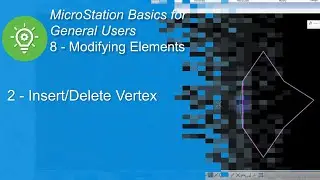 2 Insert/Delete Vertex