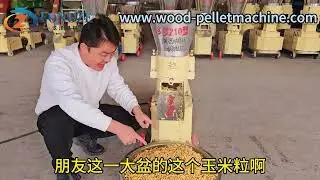 Using corn kernels to press feed pellets to raise cattle and sheep