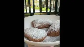 Vegan Beignets at Disney&rsquo;s Port Orleans French Quarter #waltdisneyworld #vegandisney #beignets