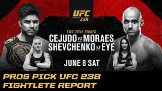 Отчёт о выборе бойца UFC 238 от профессионалов