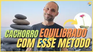 M&Eacute;TODO IMBAT&Iacute;VEL PARA TER UM CACHORRO EQUILIBRADO!!!