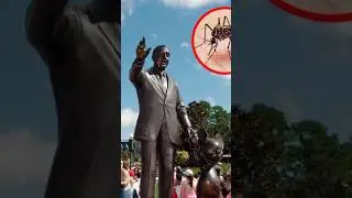The Real Reason Disney Never Has Mosquitoes