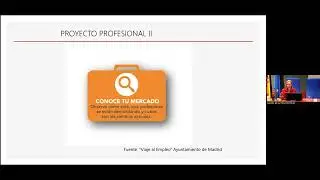 Proyecto Profesional II