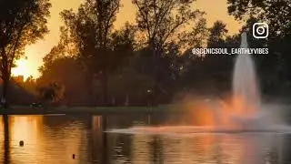 Golden Sunset Reflections with Ducks | William Mason Regional Park 🌅🦆