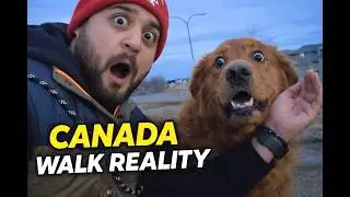 Canada Walk Reality 🇨🇦 | Road Etiquette, Dogs & Police System Samjho