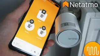 La vanne pour chauffage qui a une bonne tête 🤡 (Netatmo - Tête thermostatique connectée)