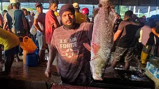 Fish cutting Masterclass: from the market learn the secret techniques