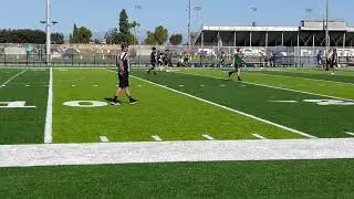 Mustangs G1 Part I