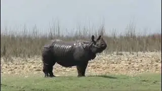 Searching hidden tresers of bardiya national park