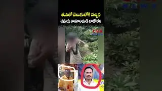 తునిలో వెలుగులోకి వచ్చిన పసుపు కామాంధుడి బాగోతం | TDP Leader | CVR NEWS
