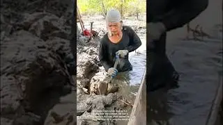 Muddy work: man digging in mud with a shovel