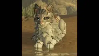 I feel like a hot dawg !! #warriorcats #wcue #roblox