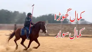 Amazing Horse, Amazing Rider🏇