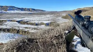 THE WHITETAIL STRUGGLE - KNEE DEEP MUD