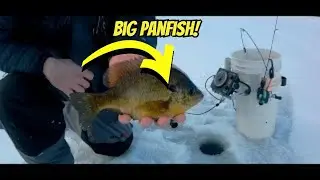 Tight Line Panfish: A Game-Changing Technique