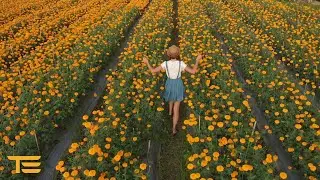 Abraham Hicks 2020 - SHARE THIS WITH A FRIEND WHO NEEDS IT