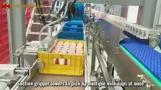 WIN-WIN PACK Delta Robot Case Packing for Cup Milk with Suction Gripper #casepacker #robotpacker