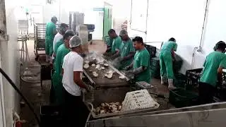 Capacidade Produtiva da Cooperativa Copaq
