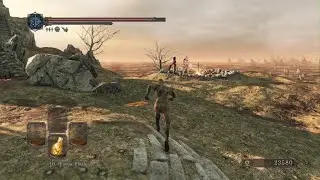 Naked Emerald Herald Glitch Dark Souls 2