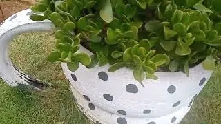 esse jardim é muito lindo vejam porque 
