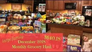 December 2018 Large Family One Month Grocery Haul | Walmart Haul | Aldi Haul | $640.18