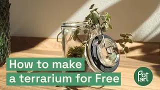 Make a TERRARIUM is EASY - tutorial 3 minutes