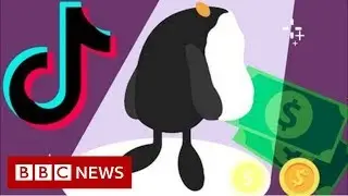 The TikTok stars getting rich off their fans - BBC News
