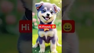Hey Friend's 😎 #shortvideo #pet #petsanimal #viralshort #cat #cartoon #shorts #funny #animals #puppy